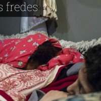 les cases fredes